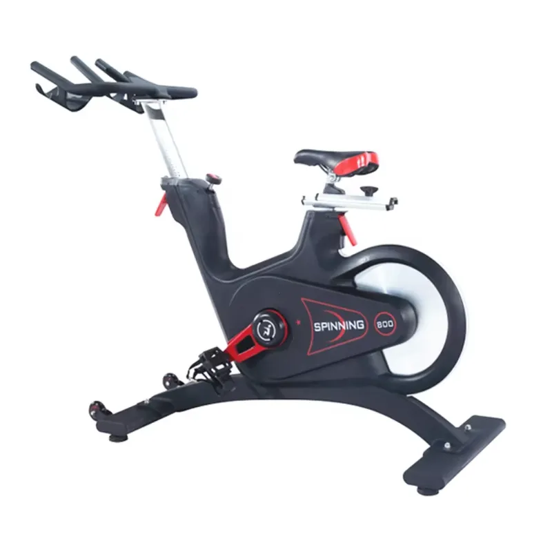 Professional Magnetic Resistan - Home Gym Exercise 评论和价格