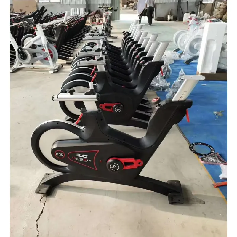 Professional Magnetic Resistan - Home Gym Exercise 评论和价格